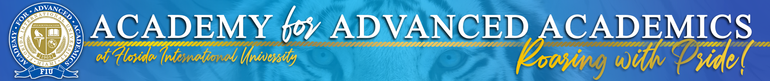 Academy for Advanced Studies